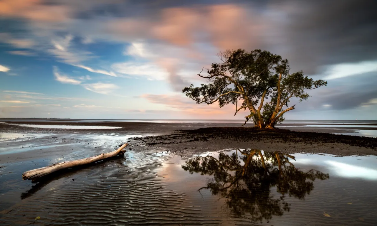 Nudgee Beach
